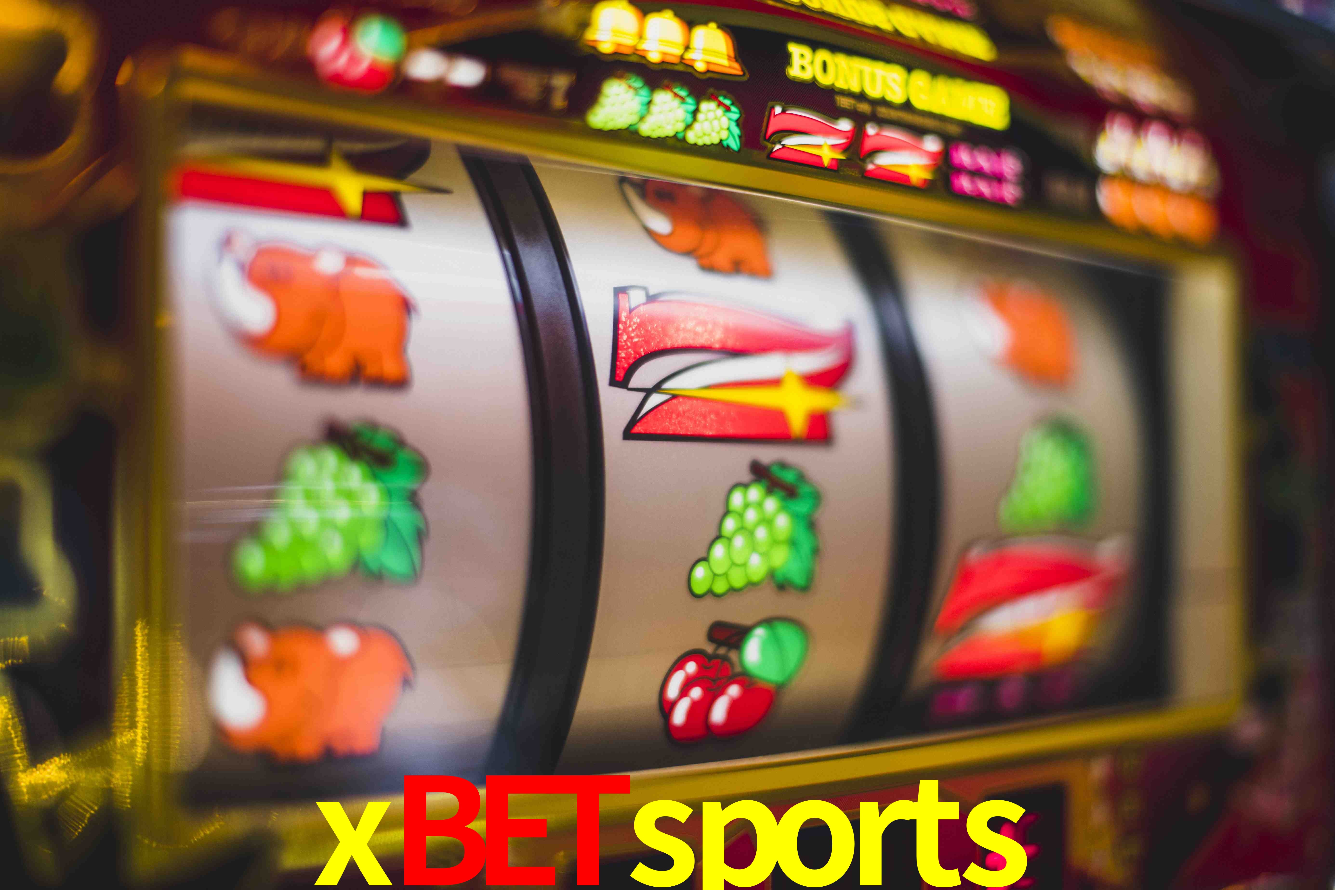 Tennis Betting xbetsports